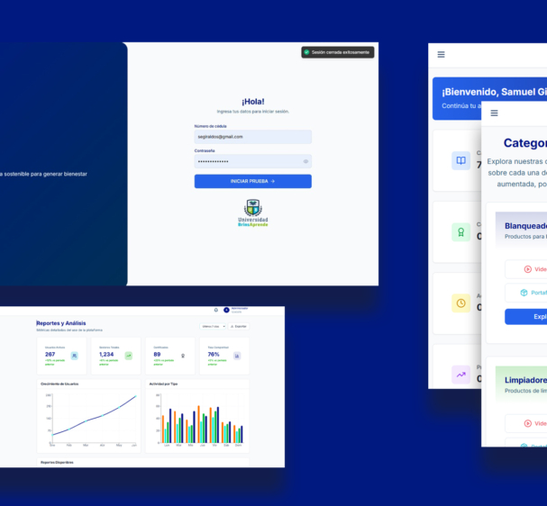 web_app_brinsa